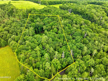 548 Clifty Creek Rd, Oakdale, TN 37829