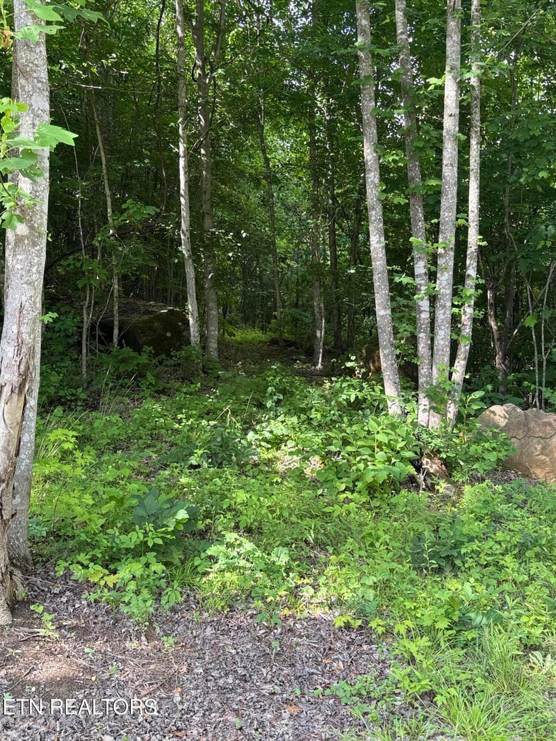 549 Defender Rd, Lafollette, TN 37766