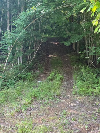 549 Defender Rd, Lafollette, TN 37766