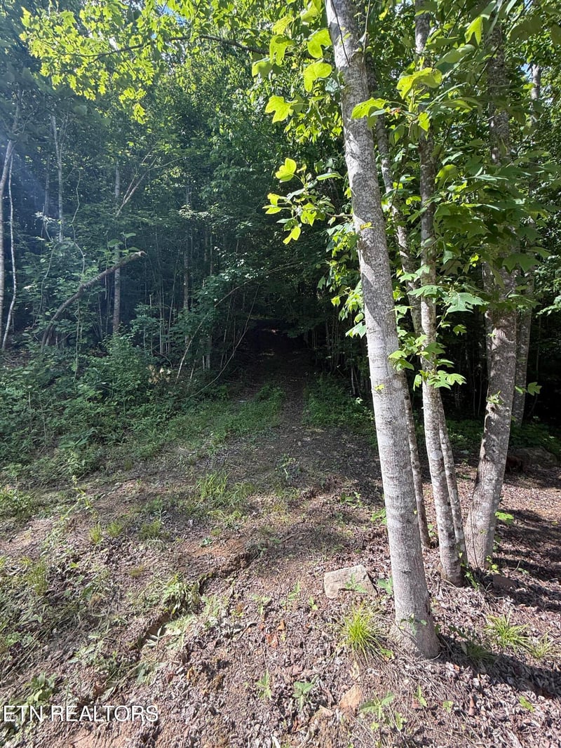 549 Defender Rd, Lafollette, TN 37766
