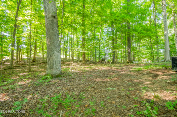 550 Shady Ln, Kingston, TN 37763