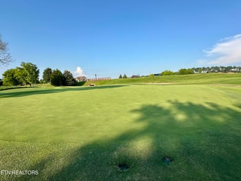 551 Firefly Dr, Loudon, TN 37774