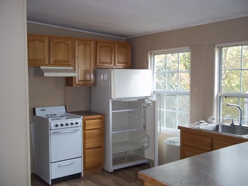551 Flamingo Cir, Townsend, TN 37882