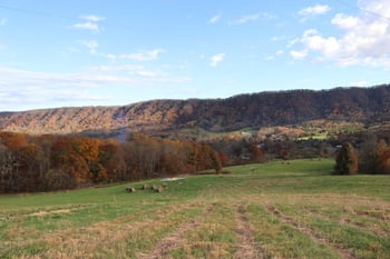 5514 Tn 131, Washburn, TN 37888