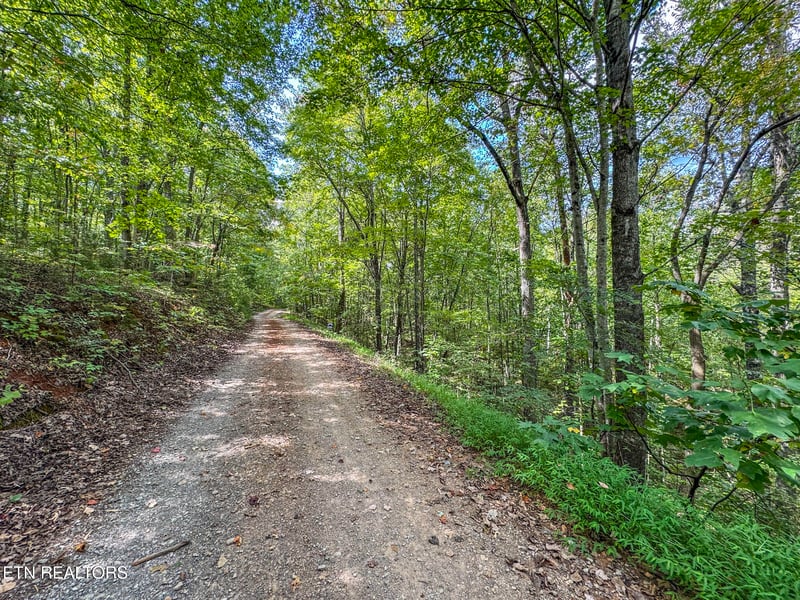 552 New Providence Rd, Tellico Plains, TN 37385