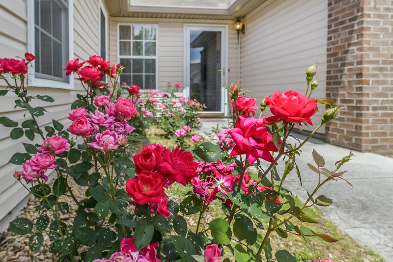 5521 Libby Way, Knoxville, TN 37924