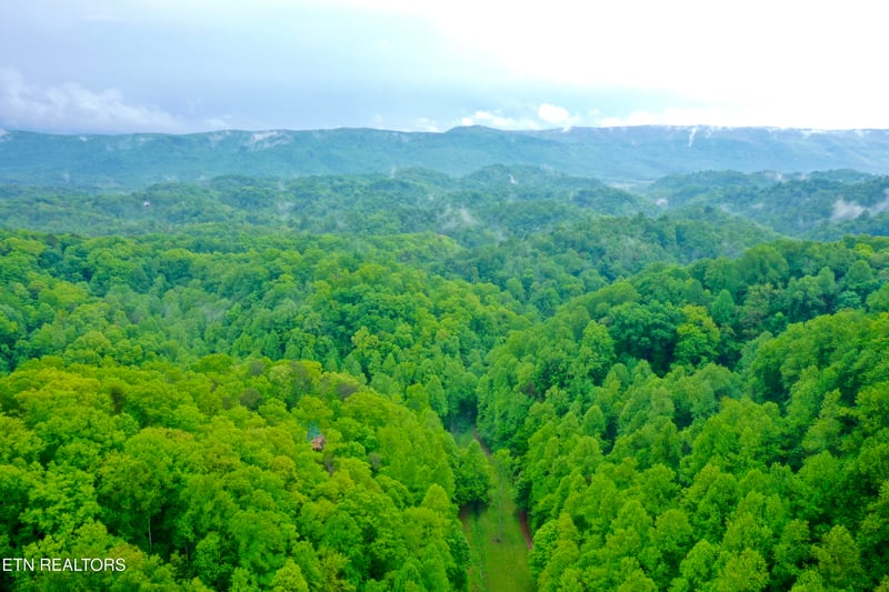 555 County Road 484, Englewood, TN 37329
