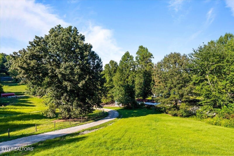 555 New Clear Branch Rd, Rocky Top, TN 37769