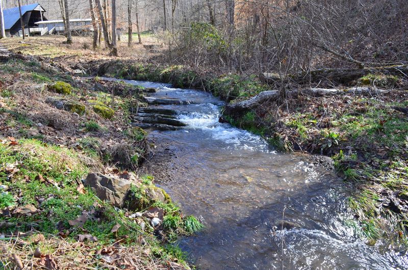 5556 Mountain Valley Rd #185 Acres, Thorn Hill, TN 37881