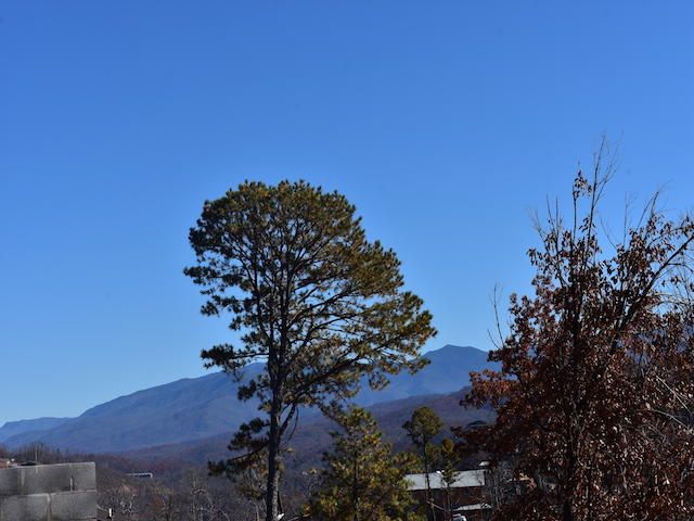 556 Edgewood Dr, Gatlinburg, TN 37738