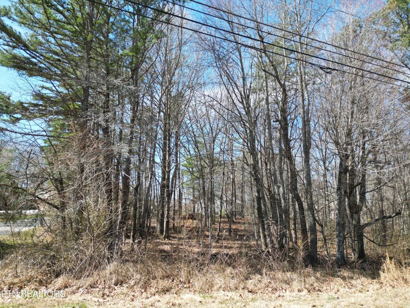 556 Westchester Dr, Crossville, TN 38558