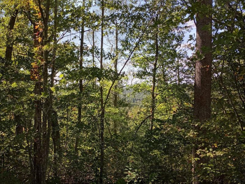 5576 Grave Hill Rd, Oneida, TN 37841