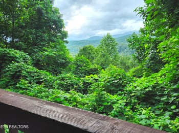 559 Crest Rd, Gatlinburg, TN 37738