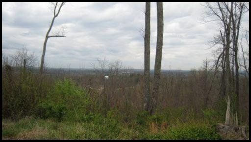 559 Enigma Code Way, Friendsville, TN 37737