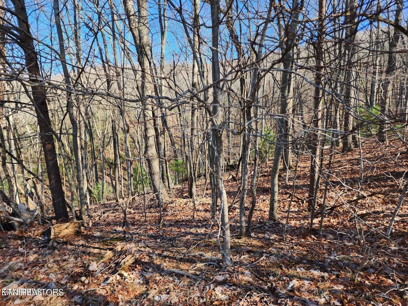 56 Homberg Ln, Crossville, TN 38558
