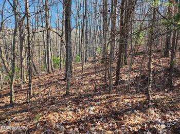 56 Homberg Ln, Crossville, TN 38558