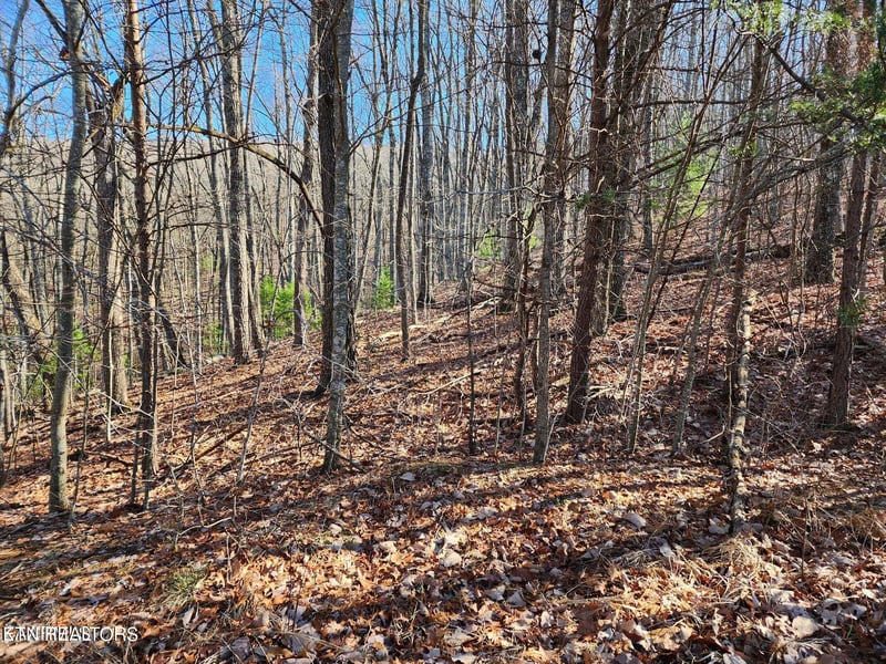 56 Homberg Ln, Crossville, TN 38558