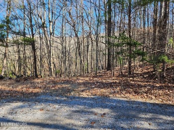 56 Homberg Ln, Crossville, TN 38558
