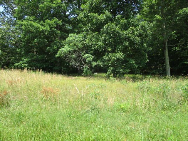 560 Cabbage Rd, Blaine, TN 37709