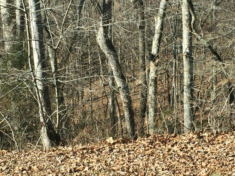 560 De Armond Rd, Kingston, TN 37763