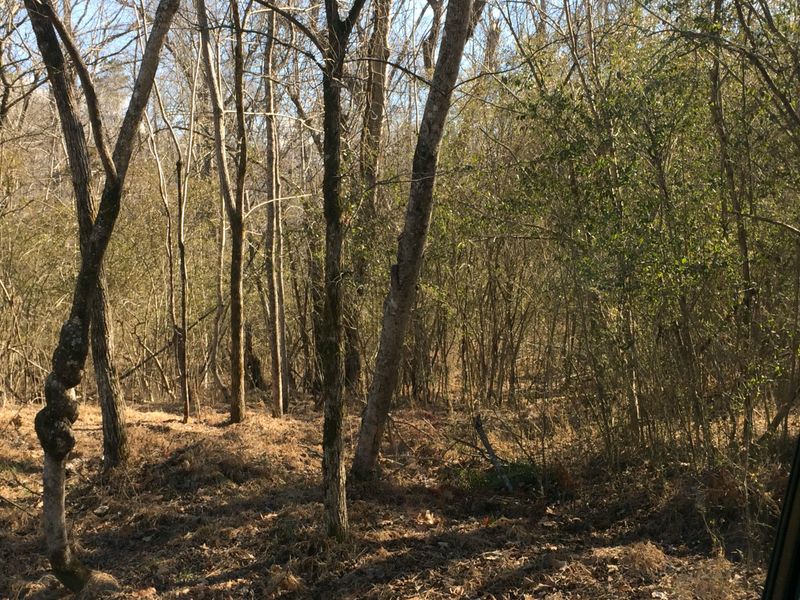 560 De Armond Rd, Kingston, TN 37763