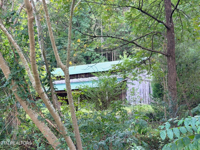 561 Mans Hollow Rd #Mans Hollow Rd, Kingston, TN 37763