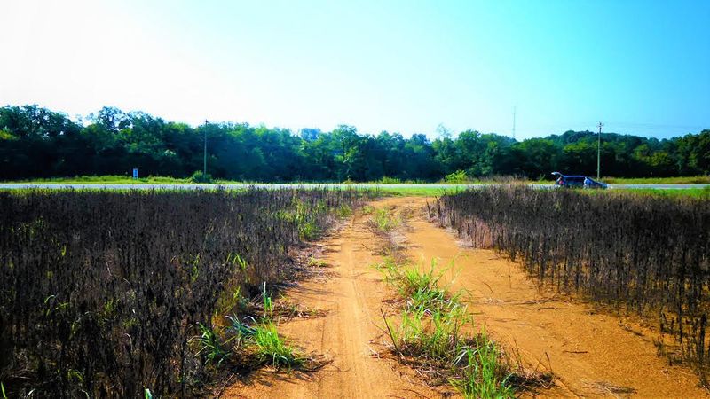 5615 Us 411, Maryville, TN 37801