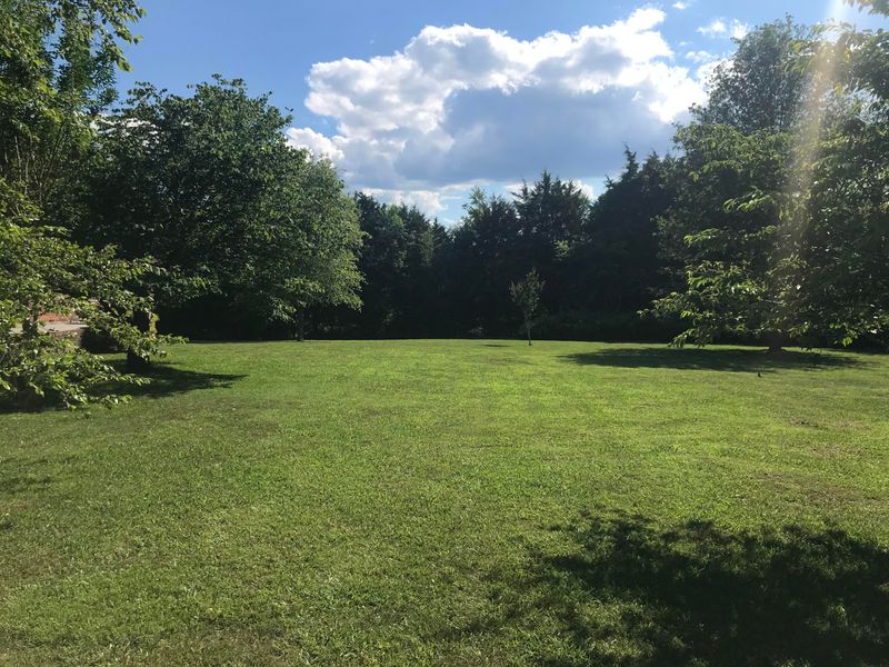 5628 Buell St, Talbott, TN 37877