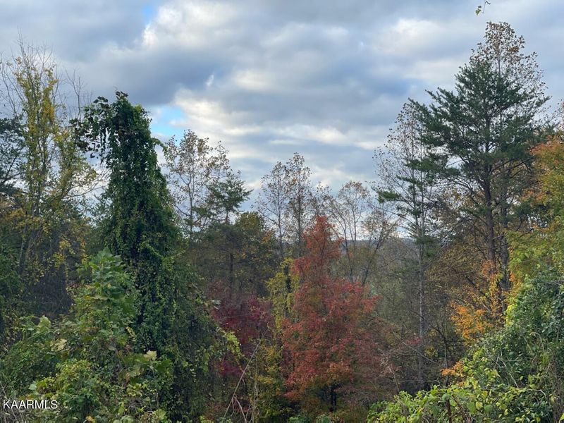 563 Peach Orchard Rd, Clinton, TN 37716