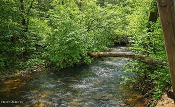 564 Keylon Dr, Harriman, TN 37748