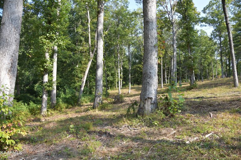 566 William Branch Rd, Lancing, TN 37770