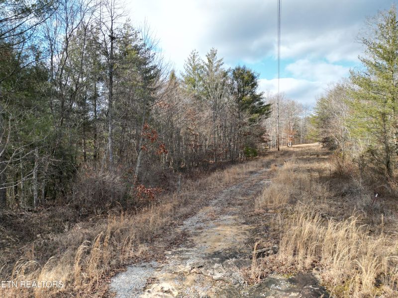 566 William Branch Rd, Lancing, TN 37770
