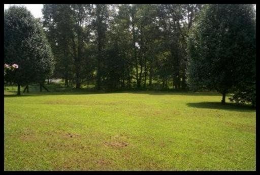 569 Heidel Rd, Wartburg, TN 37887