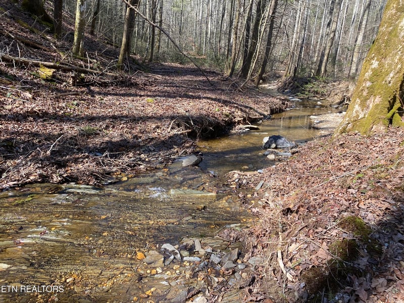 57.09 acs Rafter Rd, Tellico Plains, TN 37385