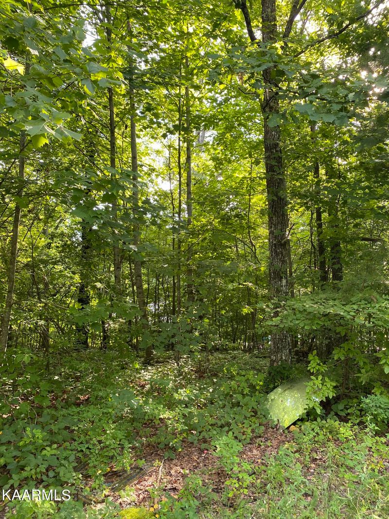 5705 Flats Rd, Tallassee, TN 37878