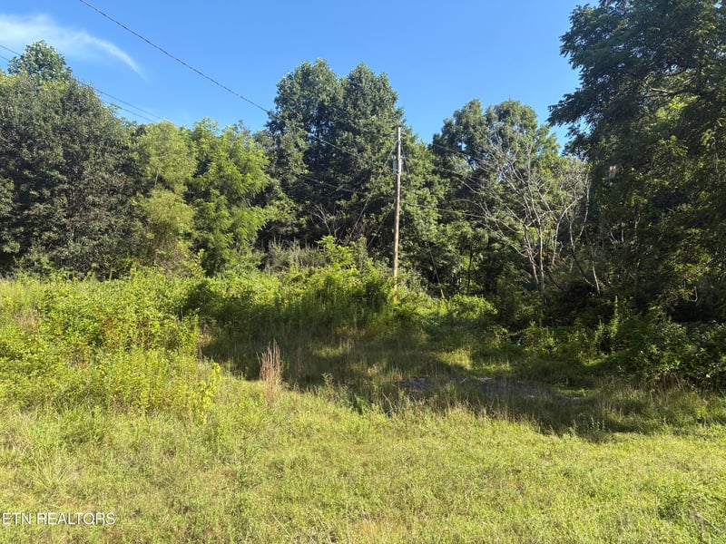 5739 Morgan Co Hwy, Lancing, TN 37770