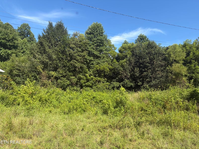 5739 Morgan Co Hwy, Lancing, TN 37770