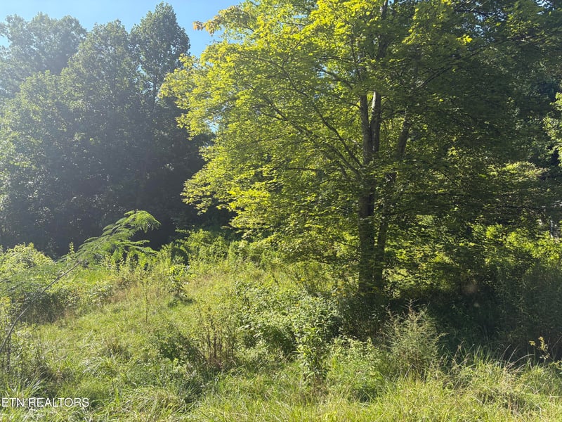 5739 Morgan Co Hwy, Lancing, TN 37770