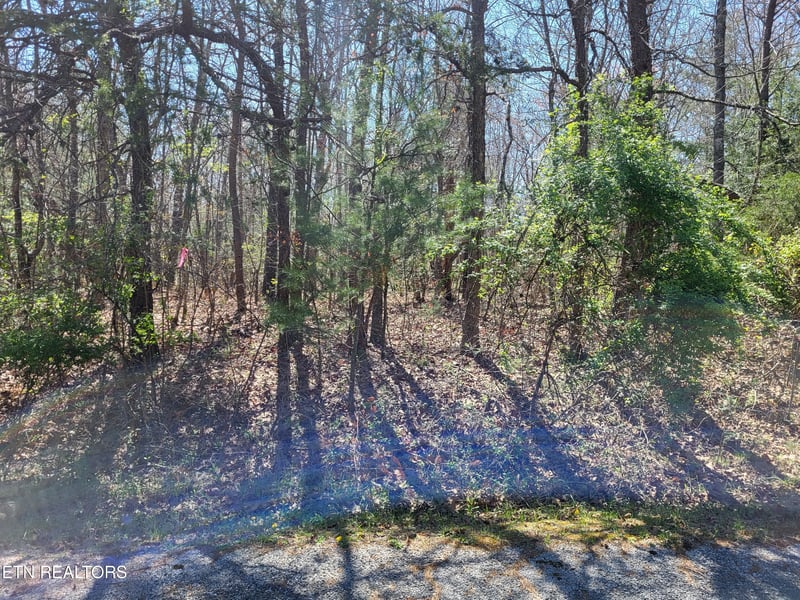 574 Marmaduke Dr, Crossville, TN 38558