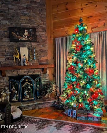 576 Holston Shores Dr, Rutledge, TN 37861