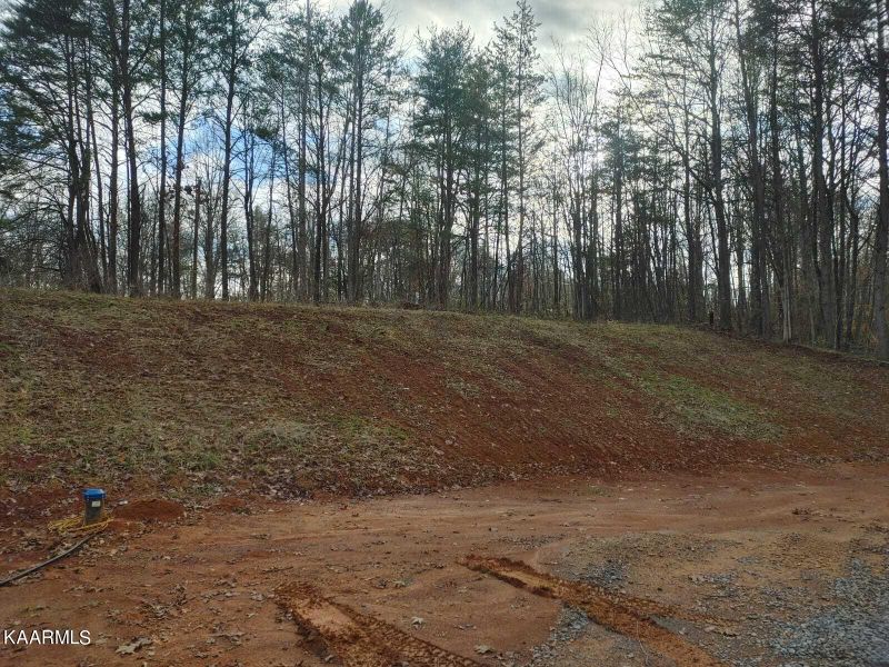 578 New Providence Rd, Tellico Plains, TN 37385
