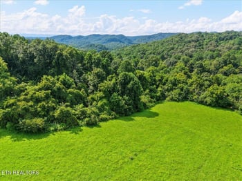 579 - 565 Harless Rd, Corryton, TN 37721
