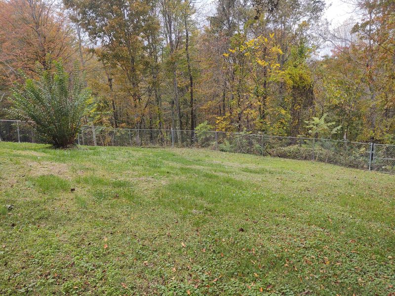 579 Island Ford Rd, Rocky Top, TN 37769