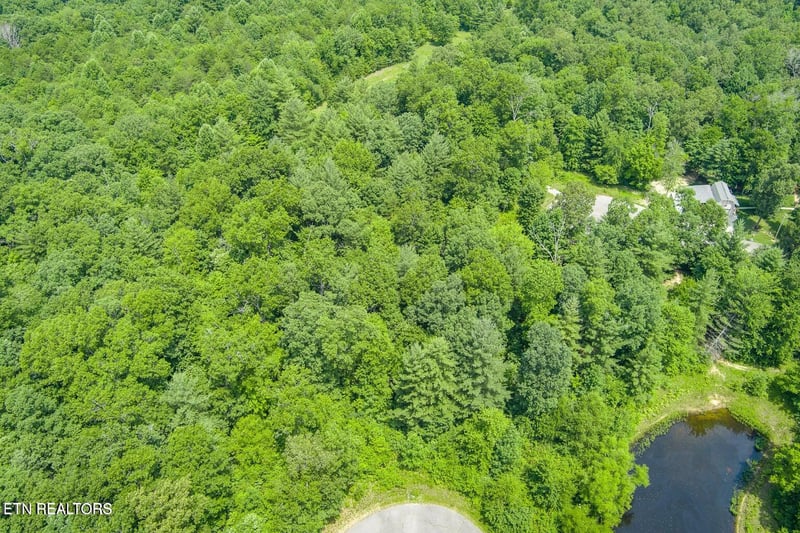 58 Mtn Preserve Point, Crab Orchard, TN 37723