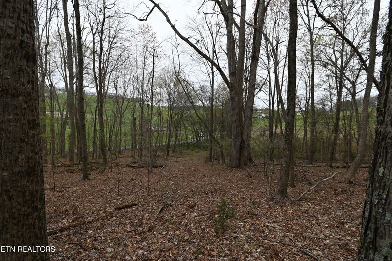 58.5 Acres Greenlee Rd, Rutledge, TN 37861