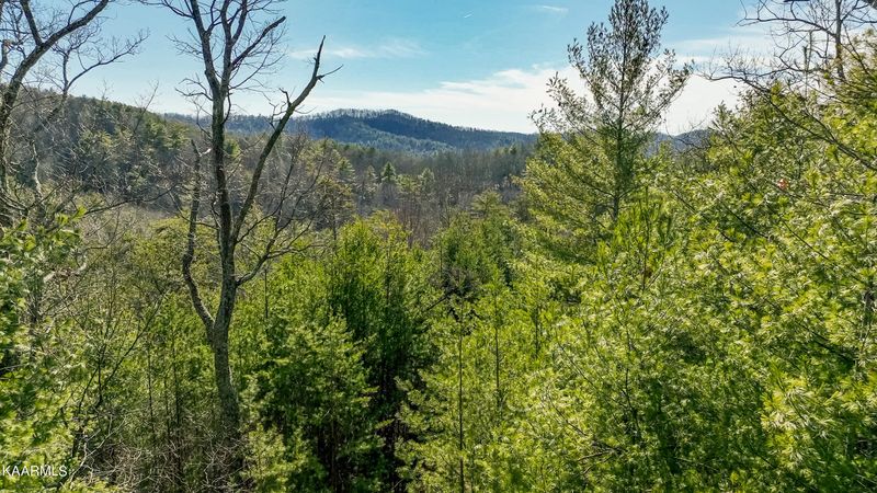 580 Ivy Trl, Tellico Plains, TN 37385