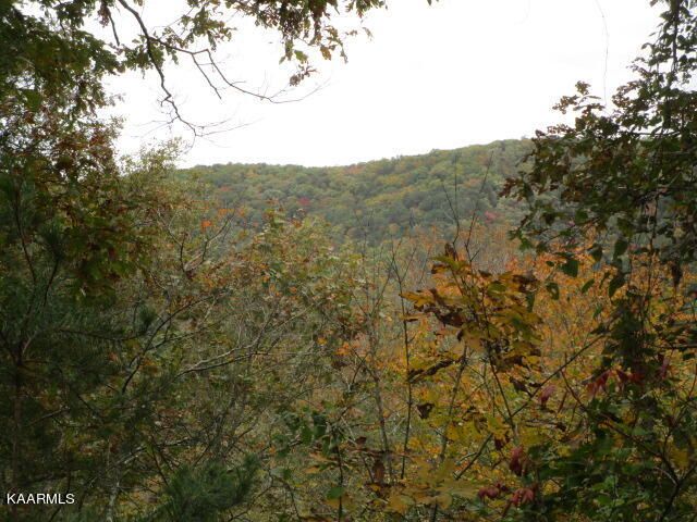 5800 Poor Valley Rd, Rutledge, TN 37861