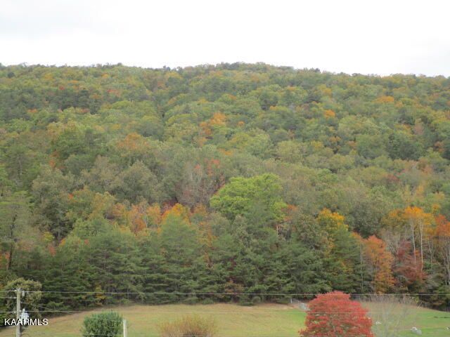 5800 Poor Valley Rd, Rutledge, TN 37861