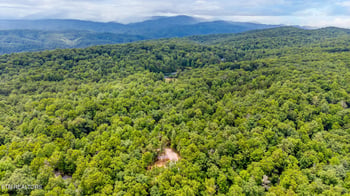 5813 Bobcat Tr, Tallassee, TN 37878