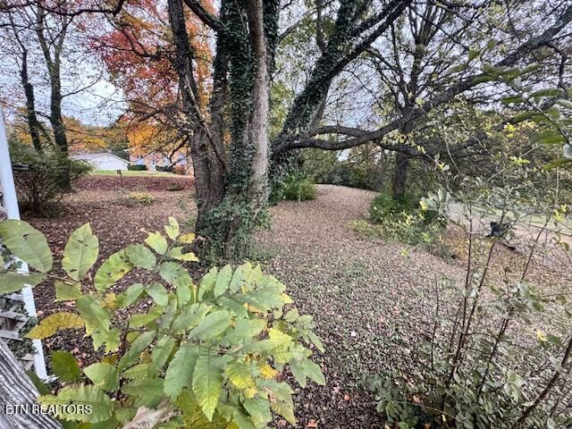 5828 Eldridge Rd, Knoxville, TN 37918